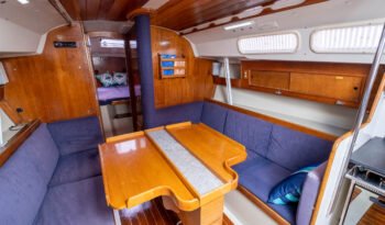 Aquila29