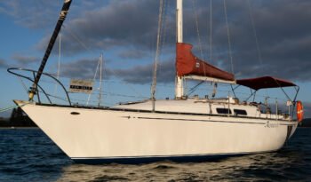 Aquila45