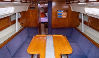 Aquila8
