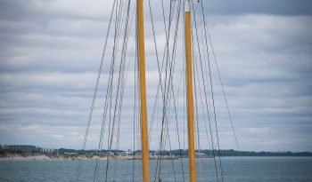 Decator-41