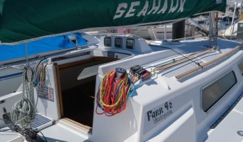 Seahawk-29