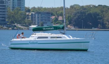 Seahawk-35