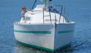 Seahawk-41