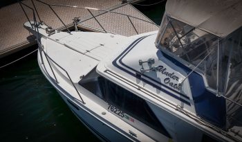 LEEDER 28 Flybridge Cruiser ~ Pen Available Mindarie Marina