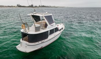 Resort 35 XL Custom ~ Very Economical Displacement Cruiser