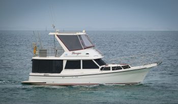 Resort 35 XL Custom ~ Very Economical Displacement Cruiser