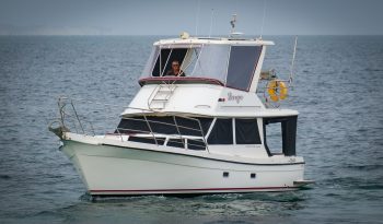 Resort 35 XL Custom ~ Very Economical Displacement Cruiser