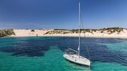 Hunter Legend 36