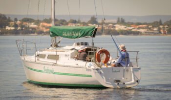 Seahawk-10