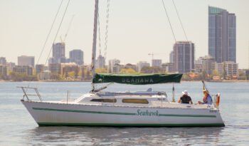 Seahawk-4