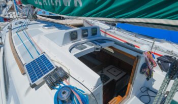 Seahawk-40