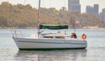 Seahawk-6