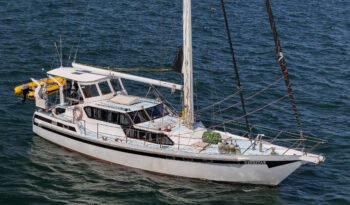 Windstar-13