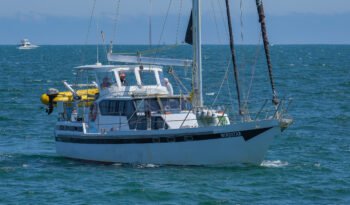 Windstar-4