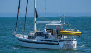 Windstar-8