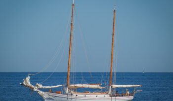 Sea Mist-55