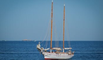 Sea Mist-56