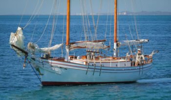 Sea Mist-58