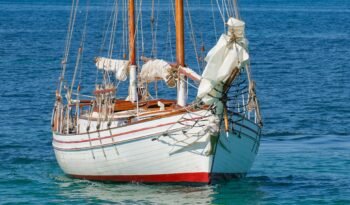 Sea Mist-60
