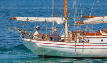 Sea Mist-62