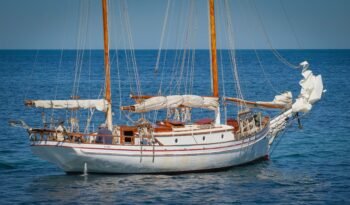 Sea Mist-63