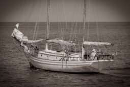 Hugh Angelman ~ Sea Witch