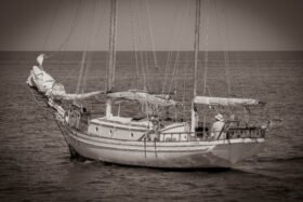 Hugh Angelman ~ Sea Witch
