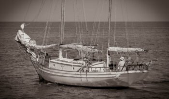 Sea Mist-67