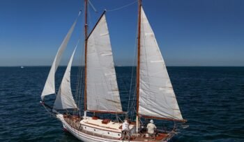 Sea Mist-68