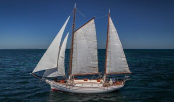 Sea Mist-72