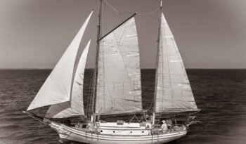 Sea Mist-73