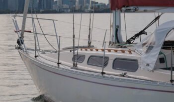 Uforia-13