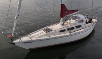 Uforia-50