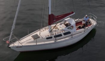 Uforia-53
