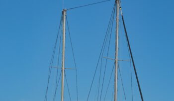 Exod-6